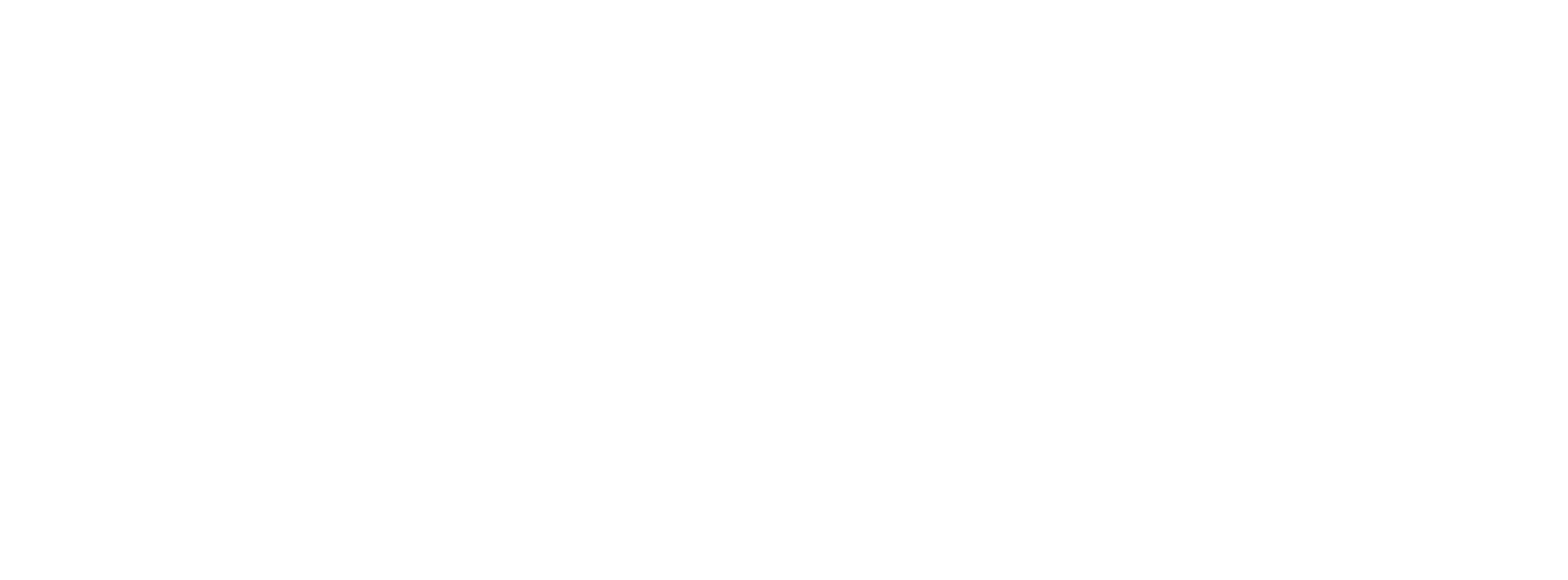 Logo CES GROUP S.R.L.